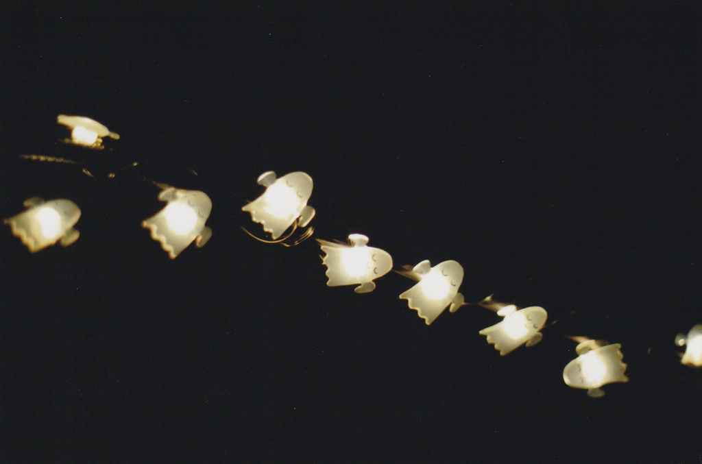 halloween string lights