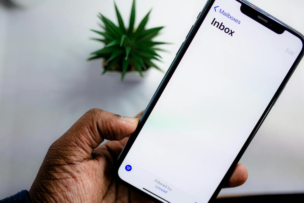 person holding a smartphone